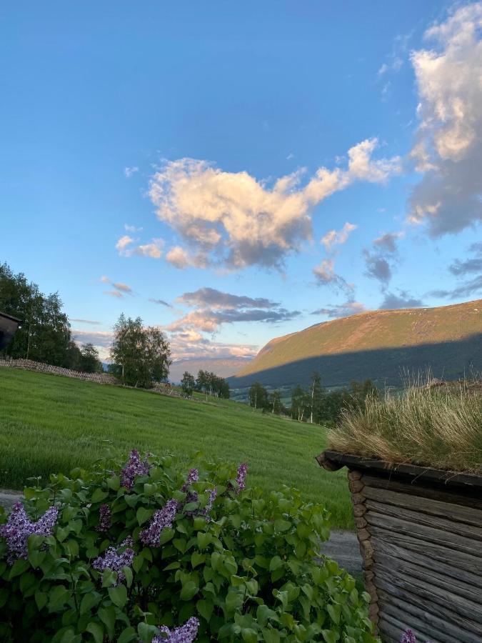 Kufjoset Villa Skjåk Buitenkant foto
